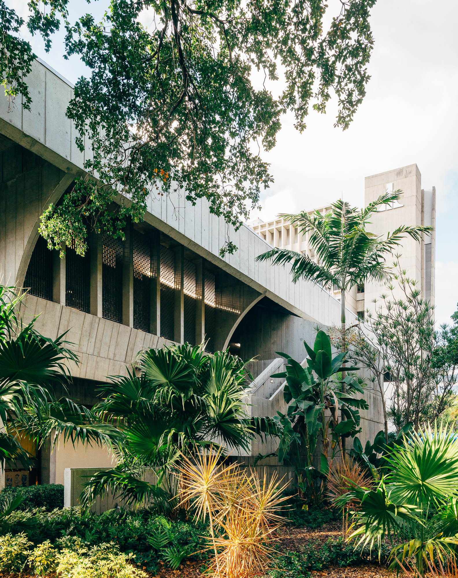 Ferendino Grafton Spillis Candela: Mailman Center for Child Development, University of Miami, 1971